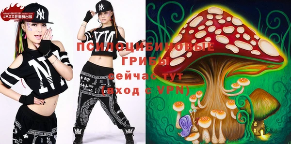 apvp Вязьма