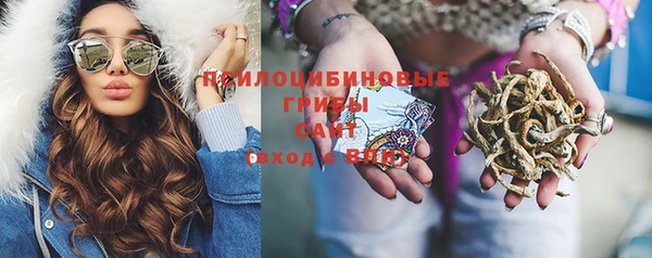 дживик Вязники