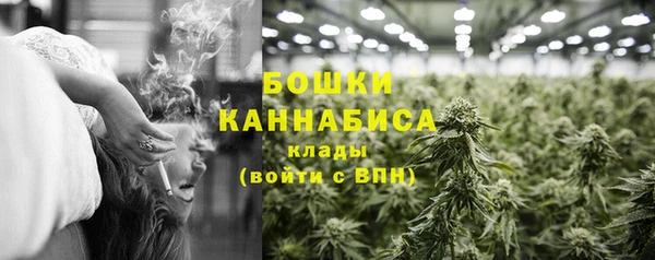 apvp Вязьма